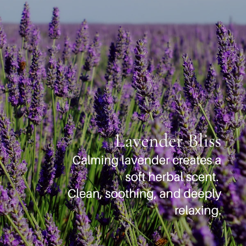 Lavender Bliss Scent