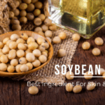 6 Amazing Benefits of Soybean Oil For Skin & Hair