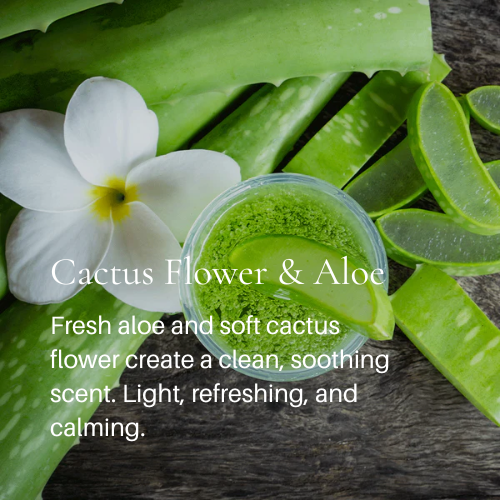Cactus Flower & Aloe Scent