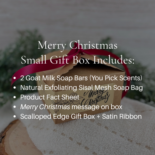 Merry Christmas Small Gift Box