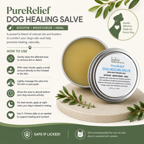 How to Use Dog Healing Salve