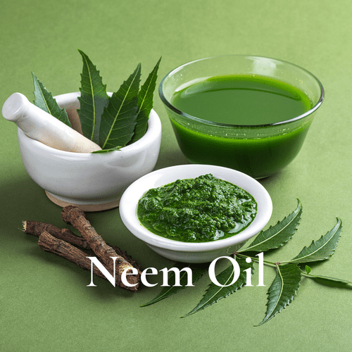 Neem Oil